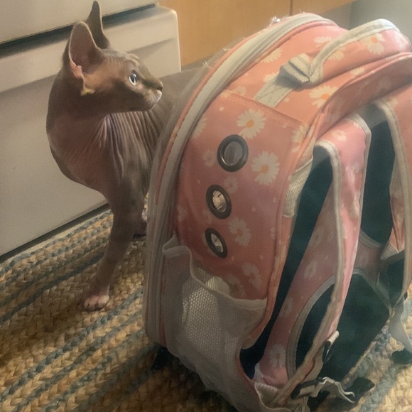 Pet Bubble backpack/carrier - Picture 2 of 4